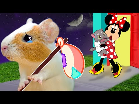 Please Don't Go! Hamster Got Bad Grade & Pretend Play with Tom | Life Of Pets HamHam