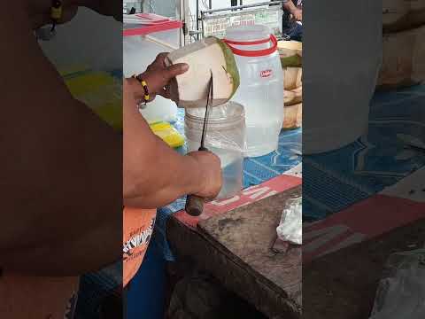 very refreshing coconut water #satisfying #coconutwater #streetfood #youtubeshorts @GatchieJr33