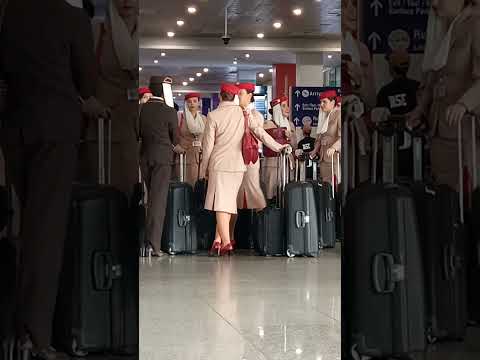 CABIN CREW OF EMIRATES AIRLINES #airlines #airport #emiratesairlines #youtubeshorts @GatchieJr33