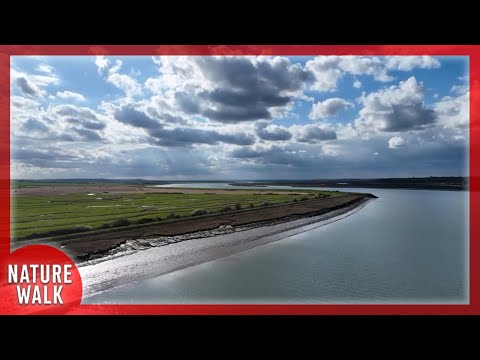 River exploration on a beautiful day (Drone Footage)