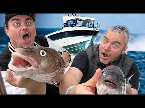 Huge Fish! On New Boat!