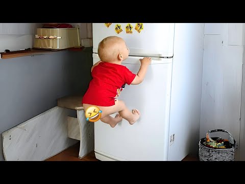 Best of the MONTH - The Ultimate Funny Baby Videos Compilation!