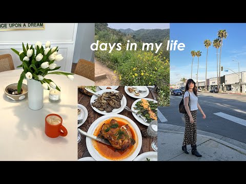 vlog: cutting my bangs, spring sezane haul, and easy hikes in LA