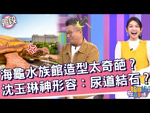 海龜水族館造型太奇葩？沈玉琳生動形容：尿道結石？沈玉琳 Amanda︱Part1/4 EP194👋20241029︱哈囉 你有事嗎