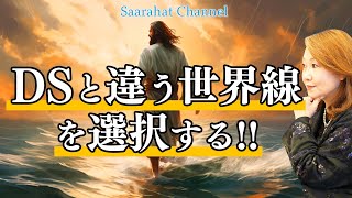 DSと違う世界線を選択する！【Saarahat/サアラ】