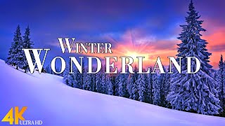 Winter Wonderland 4K Ultra HD • Stunning Footage, Scenic Relaxation Film with Christmas Music