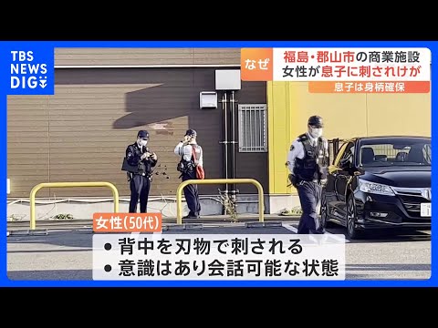 50代女性が10代息子に刺されけが、息子の身柄確保　福島・郡山市｜TBS NEWS DIG