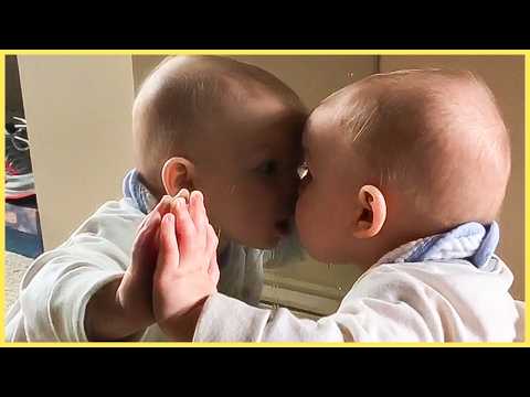 Who's That Baby In The Mirror? || Funny Baby Video