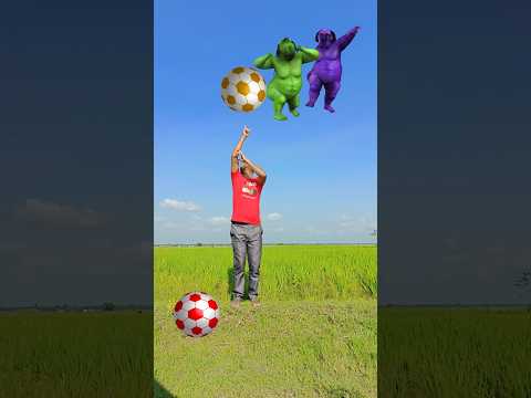 Fatty colourful dancing dogs from football kick - funny trending vfx vidio #vfx #funny #shorts