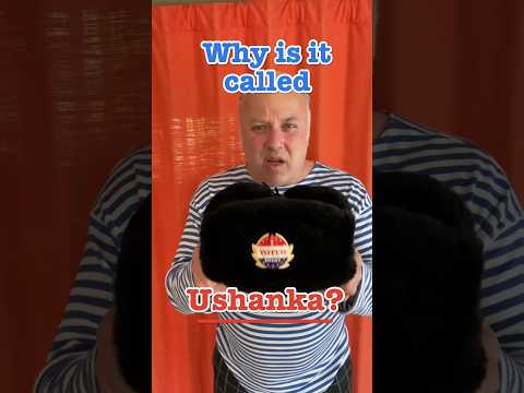 Why is it called Ushanka? #crazyrussiandad #ushanka #furhat #russia #russian #hat #ear #ears #fur