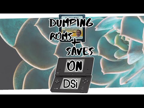 Dumping DS ROMs + Saves with Modded DSi // DSi Modding Made Easy! #shorts