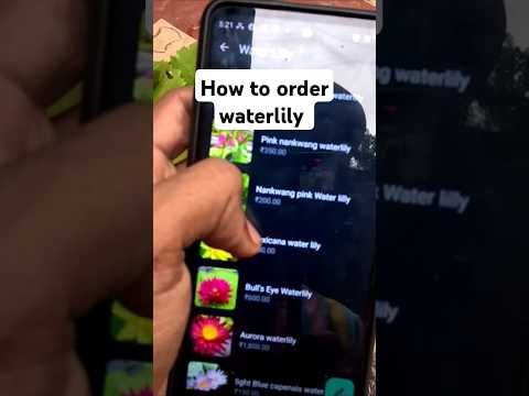 How to order waterlily easy and simple #waterlilly #waterplants #waterlilymalayalam #lilyflower