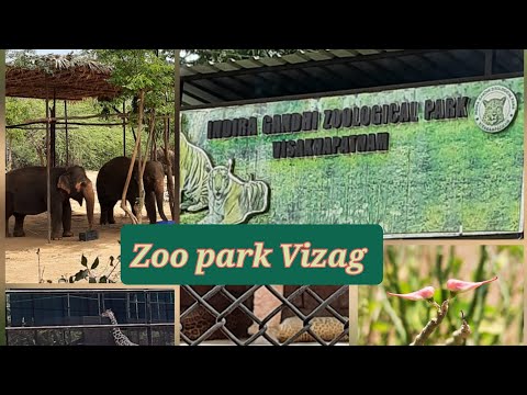 #zoo #vizagzoo #zoo vizag #visakapatnam #animals