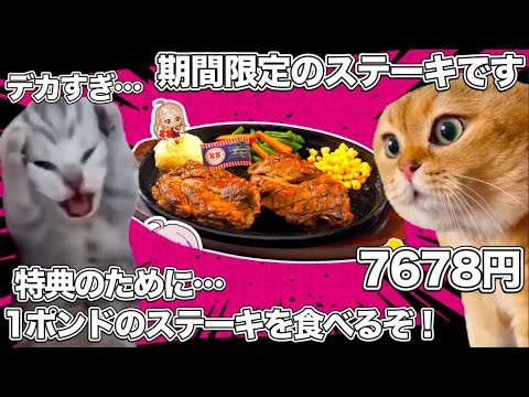 特典のために、7678円のステーキを食べに沖縄へ行くラブライバーたち【猫ミーム】 #猫マニ #猫ミーム