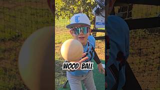 Wood ⚾️ vs Baseball Bat #baseball #baseballlife #baseballswing #baseballplayer #9u