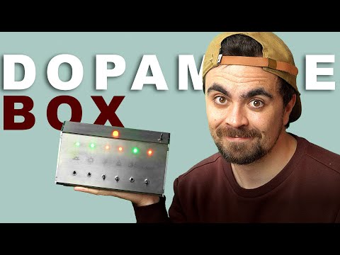 I Built a Dopamine Box