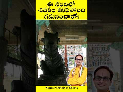 ఈ నందిలో శివలీల కనిపిస్తోంది, గమనించారా | Thiruppungur temple Nandanar Nandi | Nanduri Srinivas