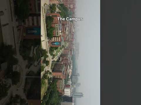 It's just a normal campus 😶‍🌫️ #amityuniversity #trending #amityuniversitynoida