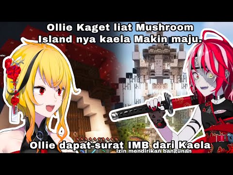 Ollie yang kaget liat perkembangan Pulau kaela, kaela ngasih Izin utk pembangunan dikawasannya