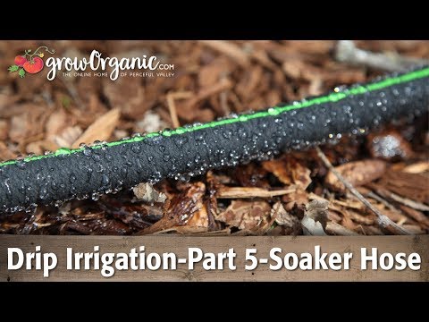 Drip Irrigation-Part 5-Using Soaker Hose in the Garden