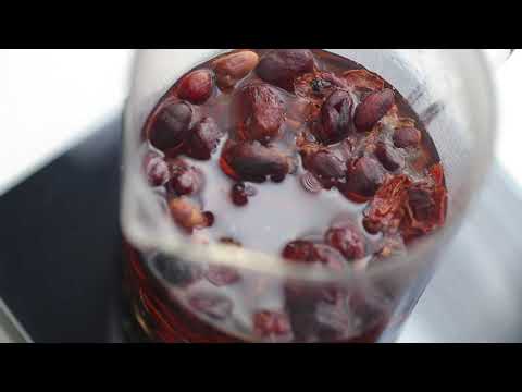 How to brew Cascara