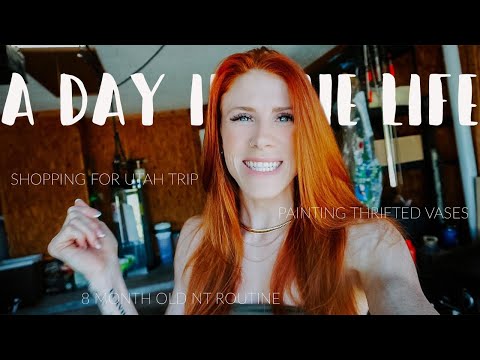 A DAY IN THE LIFE | Come Shopping W/ Me, 8 month old NT routine, painting vases, & MORE