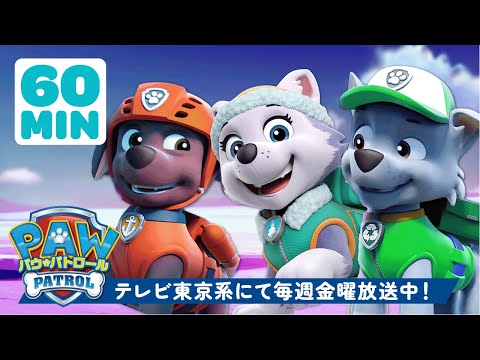 パウ・パトロール | ズーマ、エベレスト、ロッキーといっしょに野生の動物をレスキュー！ | 60分 | テレビ東京系にて放送中