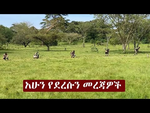 Ethiopia አሁን የደረሰን መረጃ | The Ethiopia News Now Ethiopia News October 30, 2024 | The Ethiopia Channel