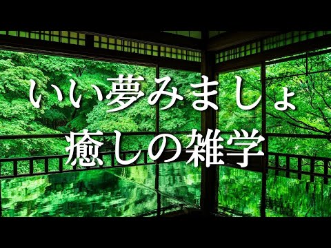 短い睡眠でも朝スッキリ！穏やかな雑学で癒やされながら質の高い眠りを…