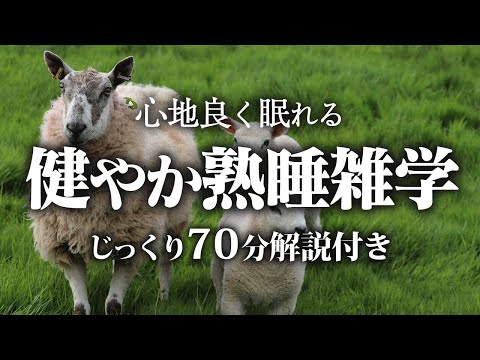 【睡眠用 雑学】健やかに眠れる雑学【リラックス】だんだん眠くなる雑学をまとめました♪