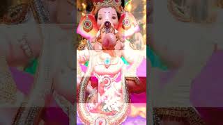 🌺ganpati bappa moraya#shorts ,  #ganeshchaturthistatus , #ganpatibappavisarjan , #ganpatibappamorya