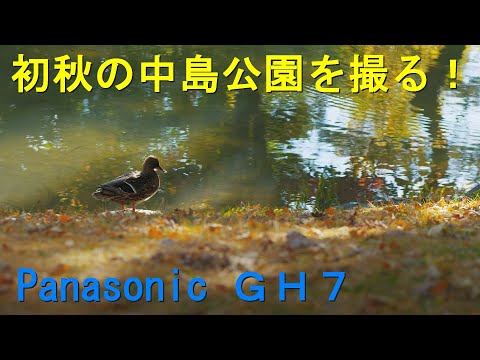 初秋の中島公園を撮る！ / Panasonic GH7