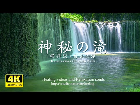 [Environmental sound / ASMR] Shiraito no Taki / Waterfall sound and river babbling sound.