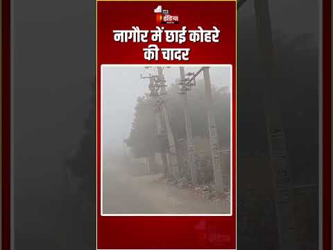 Rajasthan Weather Update: नागौर में छाई कोहरे की चादर | Winter Season | Fog In Nagaur