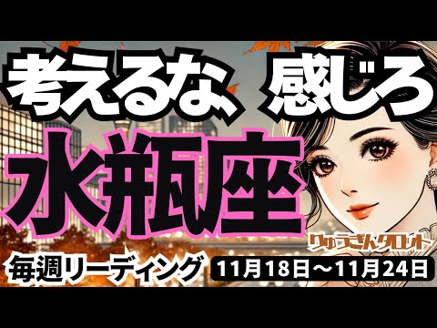 【水瓶座】♒️2024年11月18日の週♒️考えるな、感じろ😎新しい希望の時を迎え、スタートする🌈タロット占い🍀