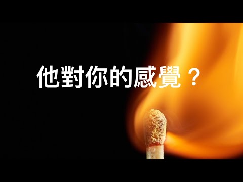 塔羅占卜❤️他對你的感覺？