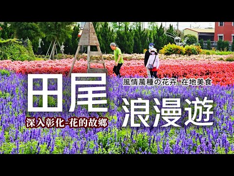 浪漫花園公路❗️全台最大花卉王國🌻媲美北海道彩色花田｜季節限定康乃馨花海｜媲美北海道彩色花田｜揭露田尾花卉產地價｜田尾鳶尾花秘境超美拍｜田尾早餐吃佛跳牆｜廟口料理銅板價❓老闆說歡喜就好｜田尾❌彰化｜