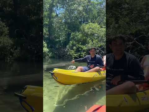 SPRINGS rivers are the best!! #weekiwachee #river #kayak #adventure #makingmemories #life  #liveit