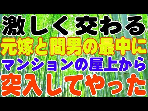 【スカッとする話】マンションの屋上からラペリングして元嫁と間男の最中に突入してやった。