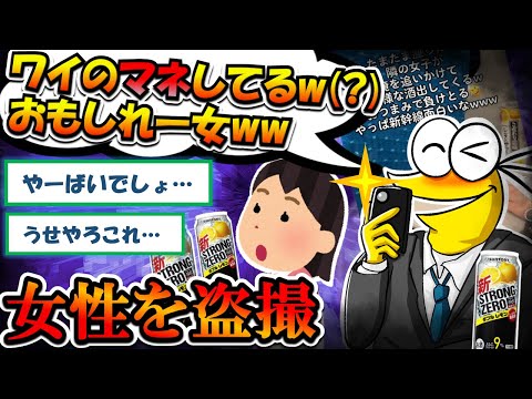 【2chまとめ】弱男おじさん、新幹線で隣に座った女性を盗撮してしまう