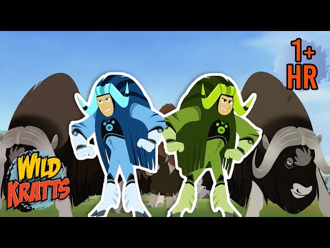 The Muskox Protective Circle | Wolf Attack | New Compilation | Wild Kratts