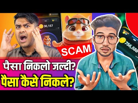 Hamster kombat से पैसा कैसे निकले?Hamster Kombat Exposed ! - Scammed People ?