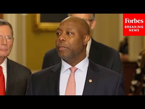 JUST IN: Tim Scott Wins Chairmanship Of The National Republican Senate Committee