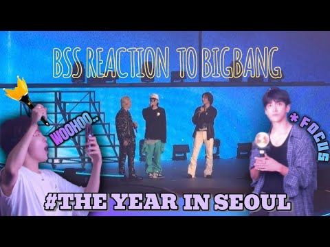 BSS reaction to BIGBANG @THE LIGHT YEAR IN SEOUL (Taeyang's concert)