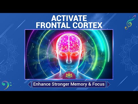 Activate Frontal Cortex, Activate Your Entire Brain's Potential - Enhance Stronger Memory & Focus