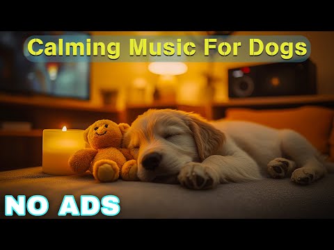 12 Hours of Dog Calming Music for Dogs 🎵 Dog Sleep Music 🐶 Separation Anxiety Relief Music ⭐No Ads