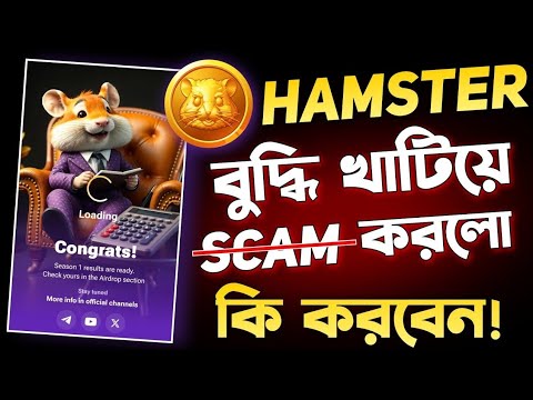 Hamster Kombat SCAM করলো বুদ্ধি খাটিয়ে | Hamster Kombat Withdrawal | Hamster Kombat