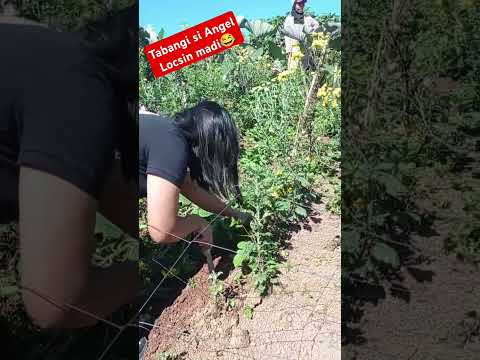 Bisita sa Flower Farm | MeiLee Vlogs