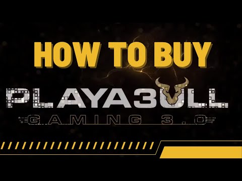 HOW TO BUY A PLAYA3BULL NODE