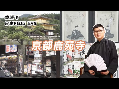 遊京都鹿苑寺，觀京都城市风采丨袁騰飛日本VLOG05